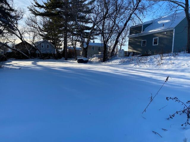 view of snowy yard