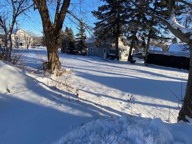 view of yard covered in snow