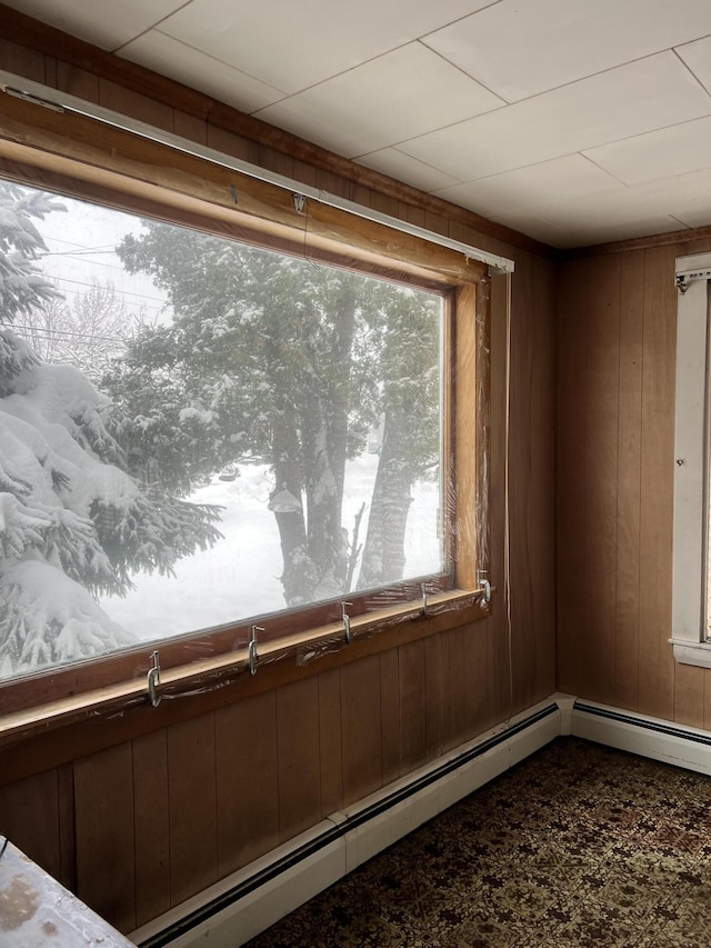 room details featuring wood walls and a baseboard heating unit