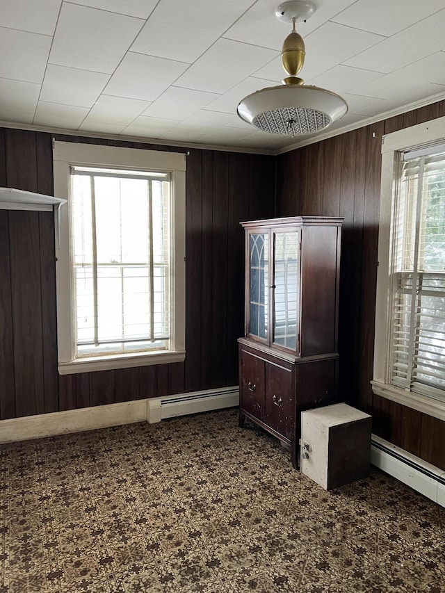 unfurnished bedroom with baseboard heating, multiple windows, and wood walls