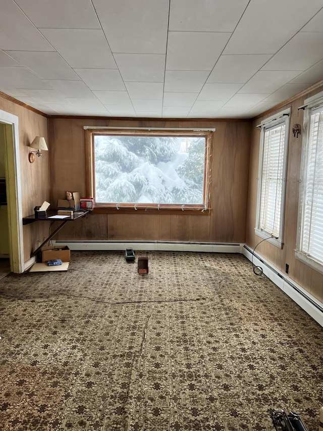 spare room featuring carpet, a wealth of natural light, and wooden walls