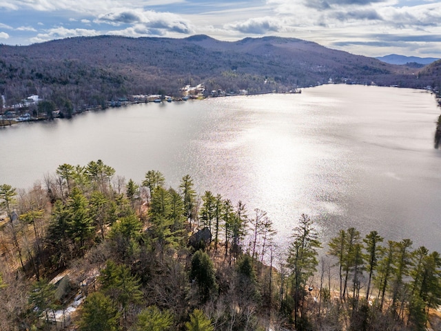 property view of water with a mountain view