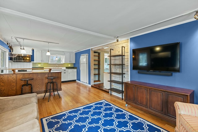 living room with light hardwood / wood-style floors and sink