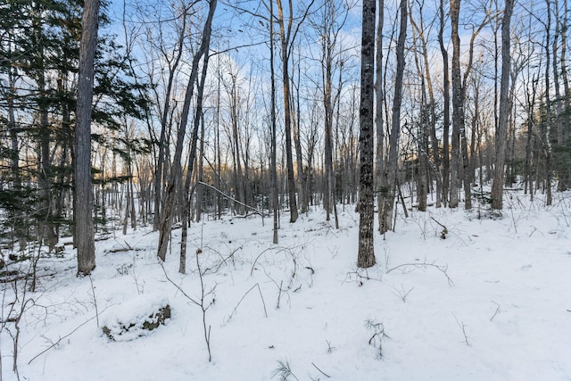 LOT3A1 Prescott Rd, Manchester, ME 04351