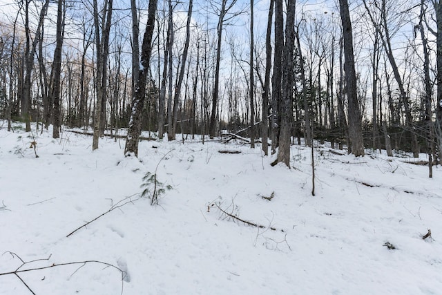 LOT3A1 Prescott Rd, Manchester, ME 04351