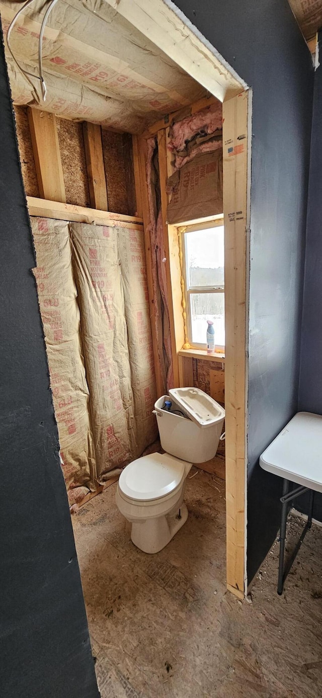 bathroom featuring toilet