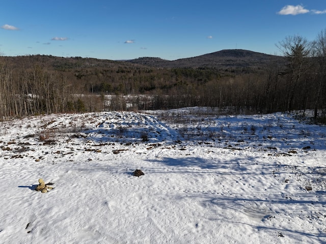 view of mountain feature