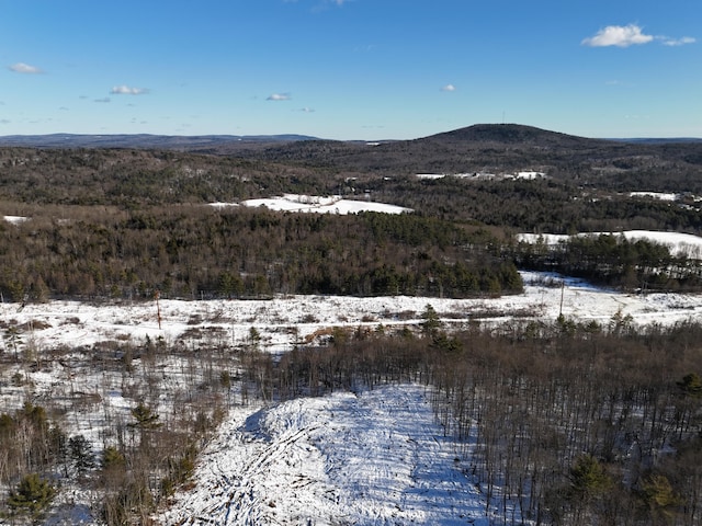 view of mountain feature