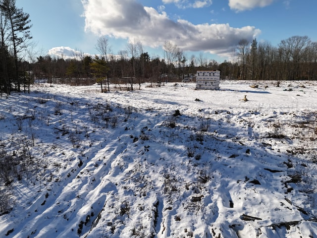 view of yard covered in snow