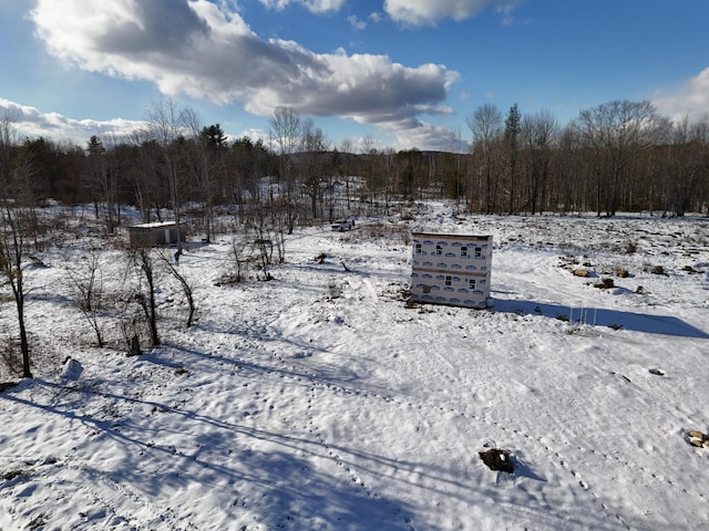 view of snowy yard