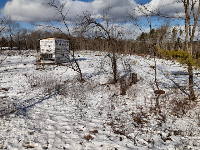 view of snowy yard