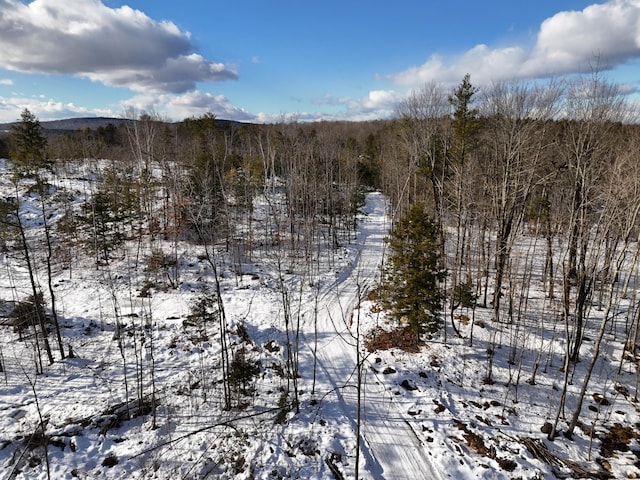 view of snowy landscape