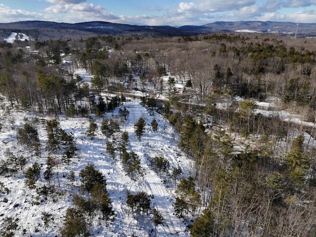 snowy aerial view with a mountain view