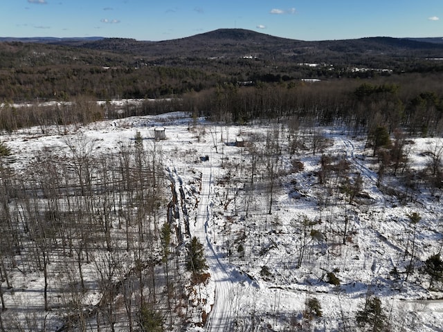 view of mountain feature