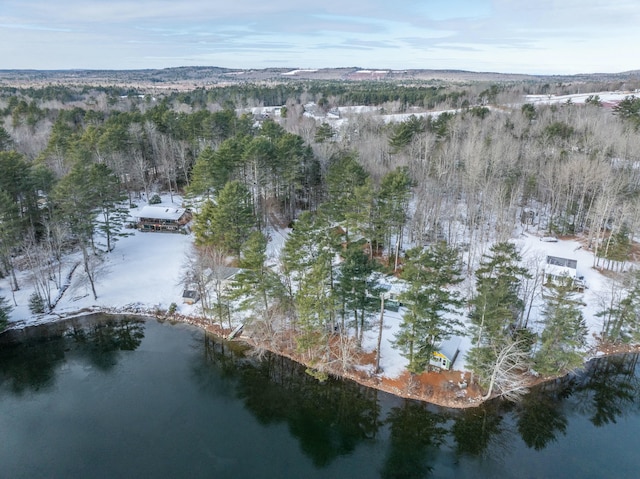 snowy aerial view with a water view