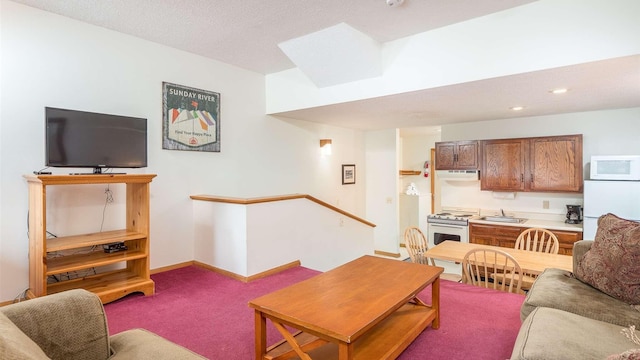 living room featuring carpet flooring, sink, and a textured ceiling