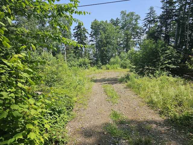M26L11.2 Boulder Rd, Danforth, ME 04424 - photo 3