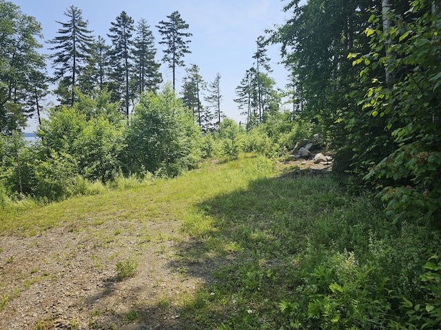 M26L11.2 Boulder Rd, Danforth, ME 04424 - photo 4
