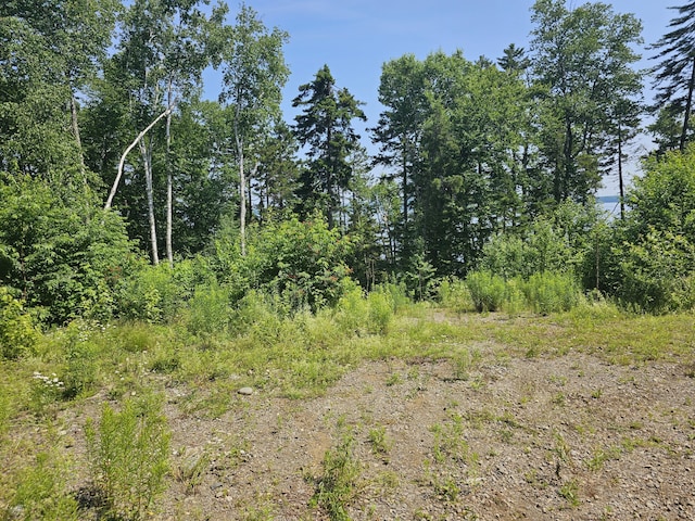 M26L11.2 Boulder Rd, Danforth, ME 04424 - photo 5