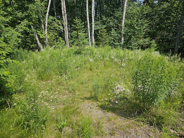M26L11.2 Boulder Rd, Danforth, ME 04424 - photo 7