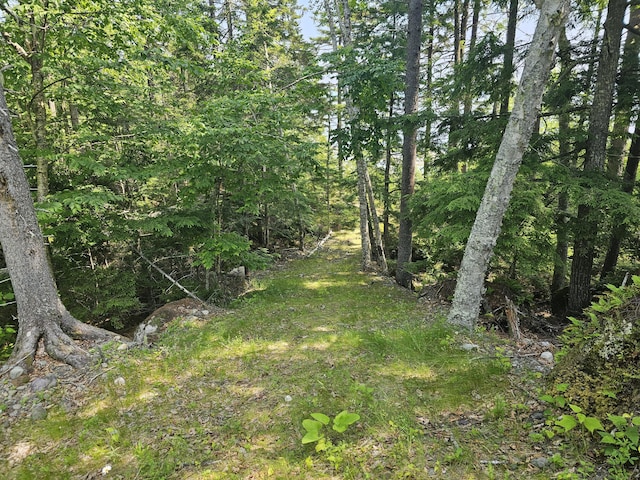 M26L11.2 Boulder Rd, Danforth, ME 04424 - photo 8
