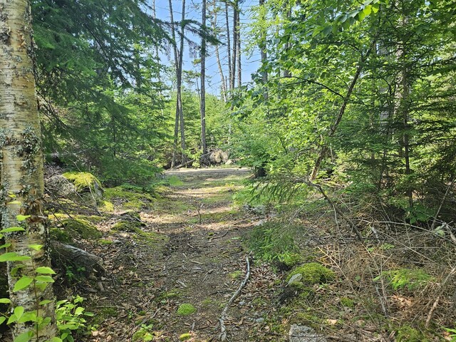 M26L11.2 Boulder Rd, Danforth, ME 04424 - photo 10