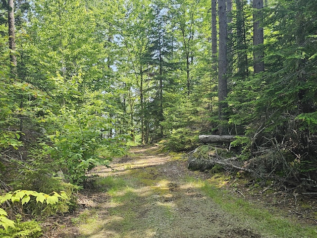 M26L11.2 Boulder Rd, Danforth, ME 04424 - photo 11
