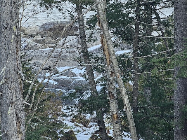 M26L11.2 Boulder Rd, Danforth, ME 04424 - photo 19
