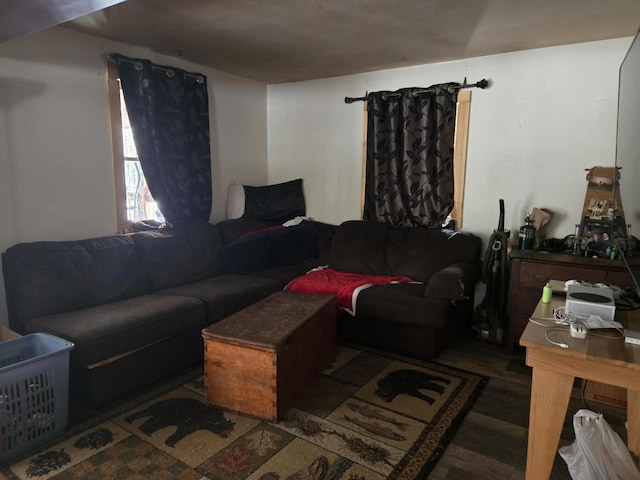 living room with dark hardwood / wood-style floors