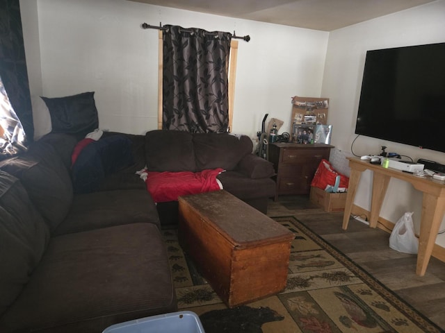 living room with wood-type flooring