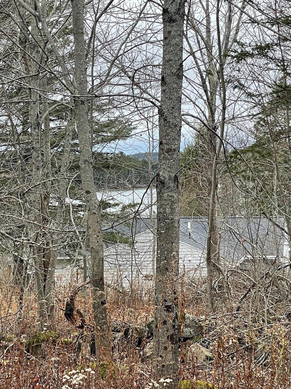 0 Blackberry Hill Rd, Saint George, ME 04860 - photo 2