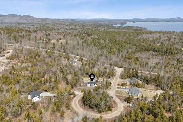 17 Ward Rd, Sebago, ME 04029 - bird's eye view with a water and mountain view
