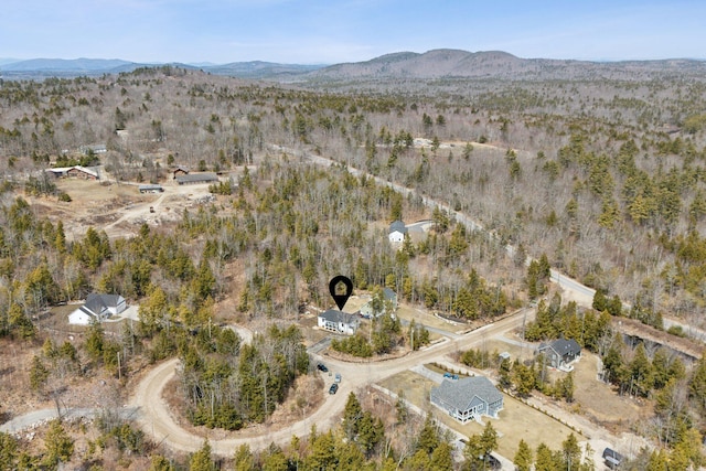 17 Ward Rd, Sebago, ME 04029 - birds eye view of property featuring a mountain view