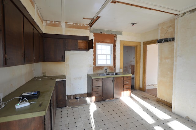 kitchen with dark brown cabinetry and sink