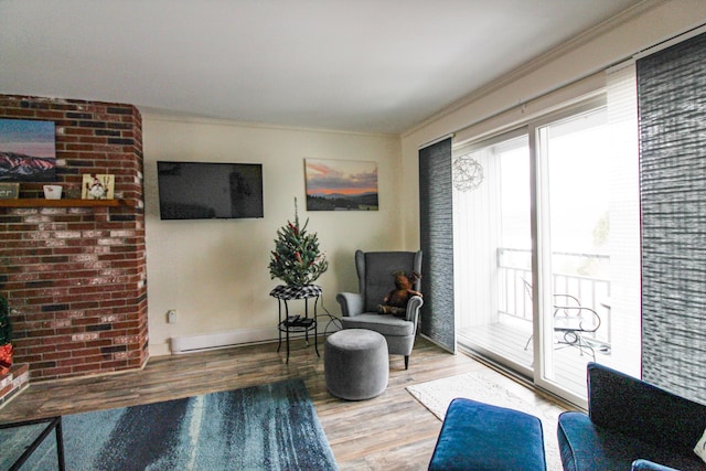 135 Vernon St Unit 4E, Bethel, ME 04217 - sitting room featuring wood finished floors, crown molding, and a baseboard heating unit