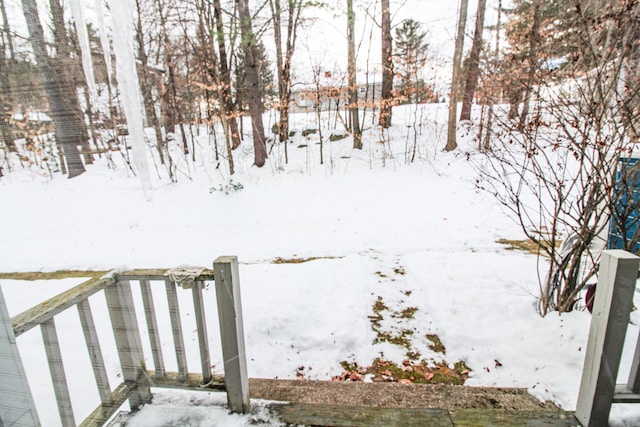 view of yard covered in snow