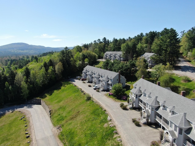 135 Vernon St Unit 4E, Bethel, ME 04217 - drone / aerial view of a heavily wooded area