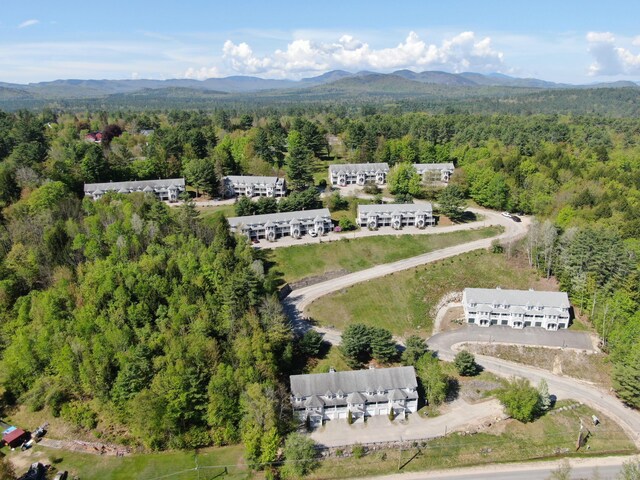 135 Vernon St Unit 4E, Bethel, ME 04217 - aerial view of a forest