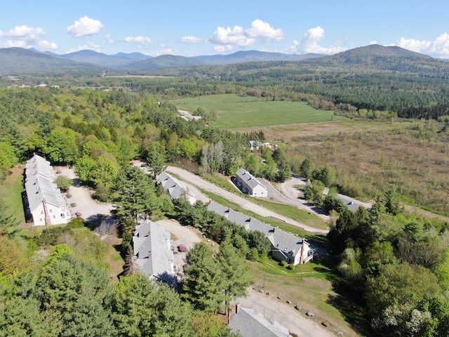 135 Vernon St Unit 4E, Bethel, ME 04217 - drone / aerial view of mountains