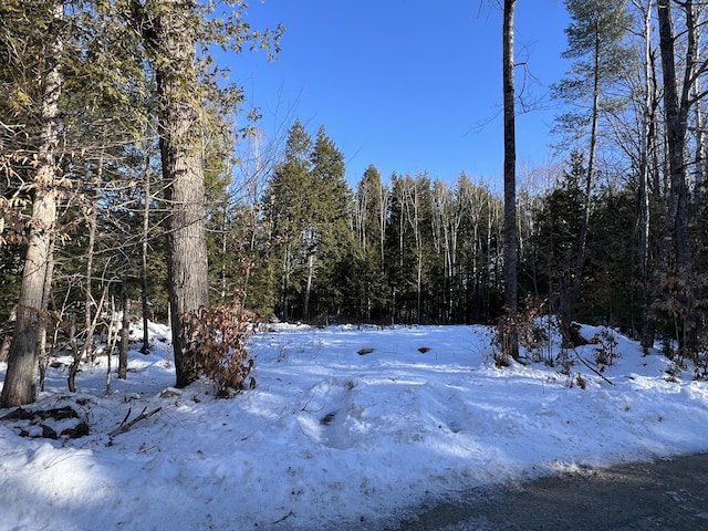 Listing photo 3 for LOT17 Shues Ln, Ripley ME 04930