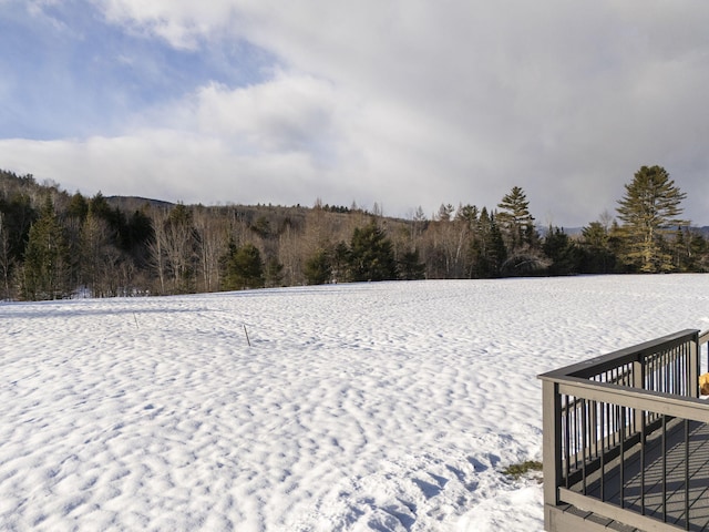 view of yard covered in snow