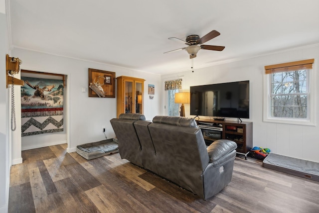 living room featuring crown molding, ceiling fan, and dark wood-type flooring