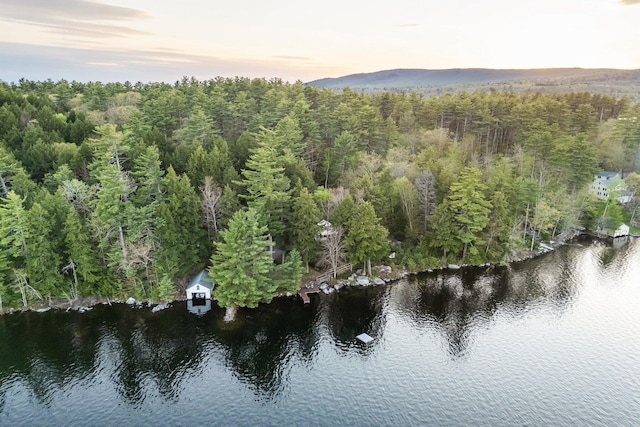 137 Birch Ln, Belgrade, ME 04917 - view of property location featuring a heavily wooded area and a water and mountain view