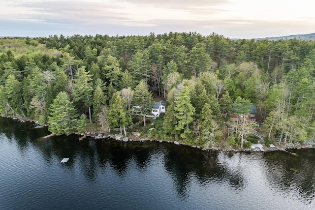 137 Birch Ln, Belgrade, ME 04917 - water view featuring a heavily wooded area