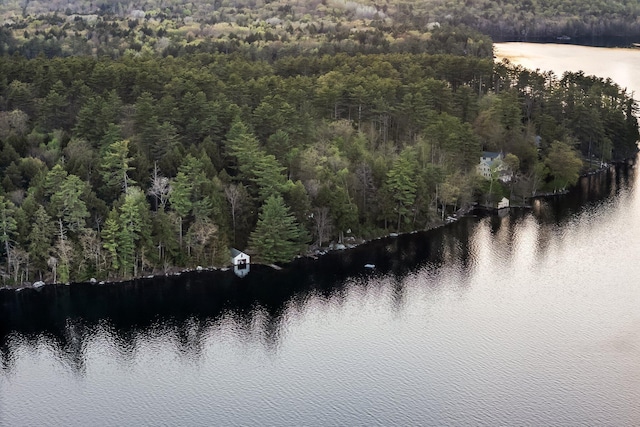 137 Birch Ln, Belgrade, ME 04917 - aerial overview of property's location featuring a heavily wooded area and a large body of water