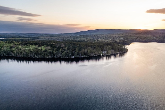 137 Birch Ln, Belgrade, ME 04917 - water view featuring a forest