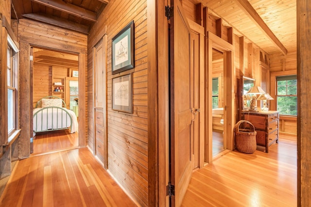 137 Birch Ln, Belgrade, ME 04917 - hall featuring wood walls, wood ceiling with exposed beams, and light wood-style flooring