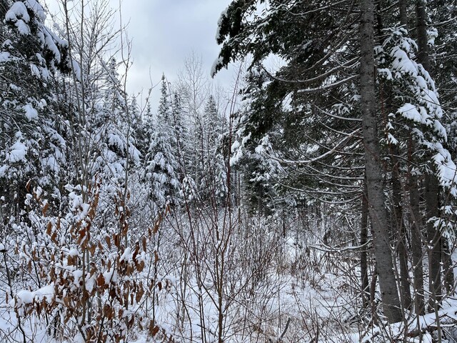 00 Frenchville Rd, Ashland, ME 04732 - photo 8
