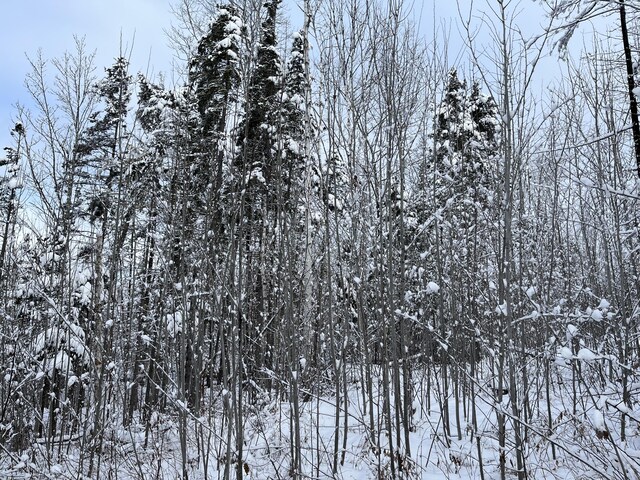 00 Frenchville Rd, Ashland, ME 04732 - photo 9
