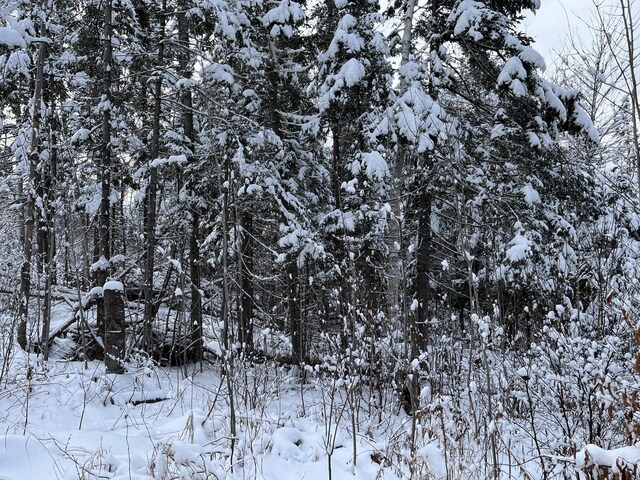 00 Frenchville Rd, Ashland, ME 04732 - photo 10